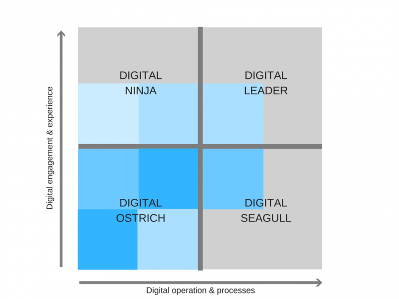 Digital Leader Matrix