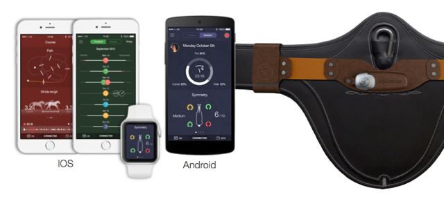 Activity Tracker for your Horse