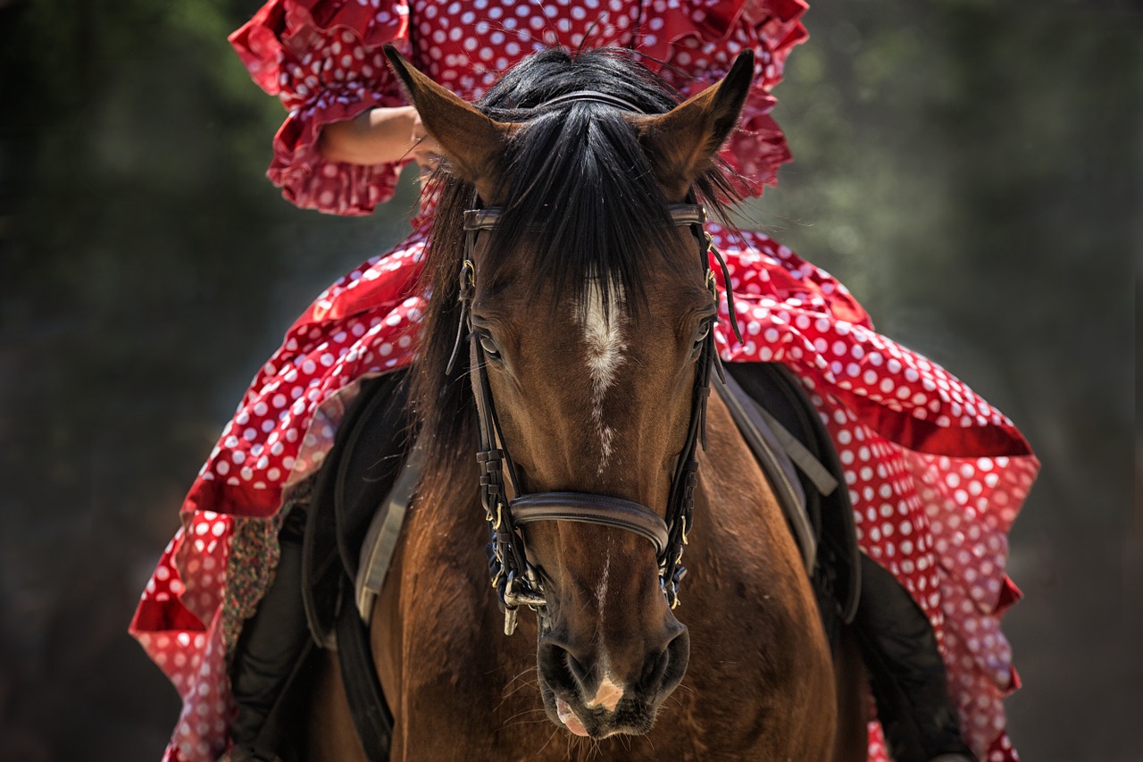 Horse riding