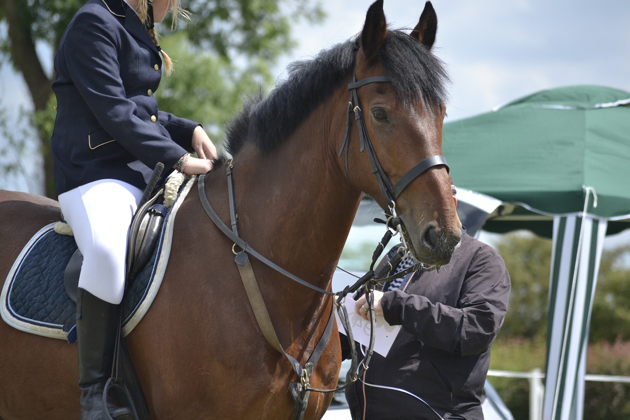 Horse riding